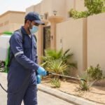 مكافحة حشرات المربع بالرياض